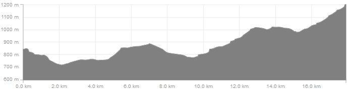 Höhenverlauf Kammweg Bärenstein zum Fichtelberg